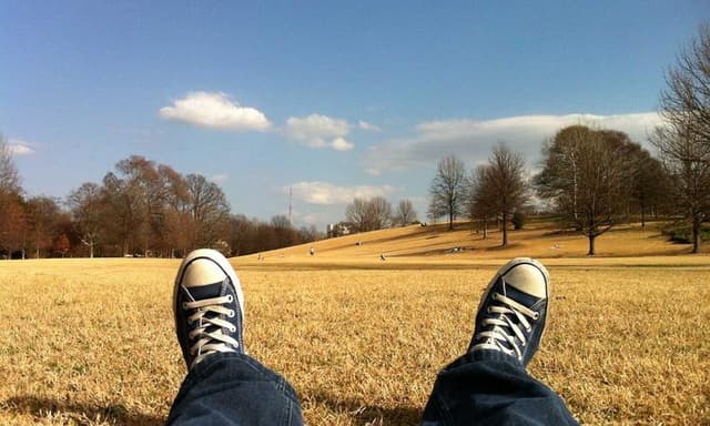 Revocable Trust: Flexibility in Estate Planning