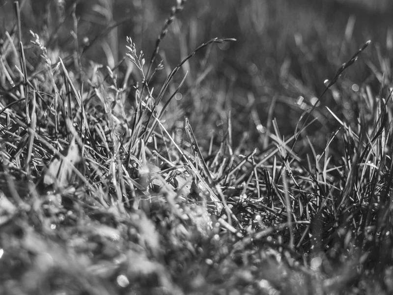 The Power of Compound Interest